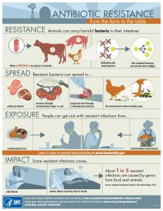 ar-infographic-508c-2